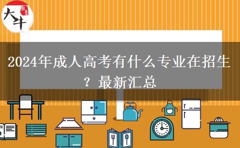 2024年成人高考有什么專業(yè)在招生？最新匯總