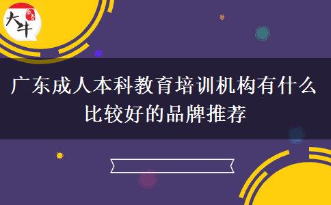 廣東成人本科教育培訓機構(gòu)有什么比較好的品牌推薦