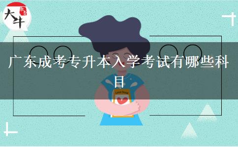 廣東成考專(zhuān)升本入學(xué)考試有哪些科目