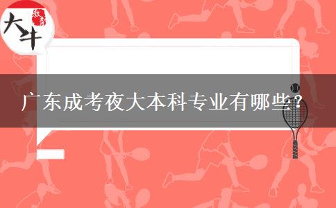 廣東成考夜大本科專業(yè)有哪些？