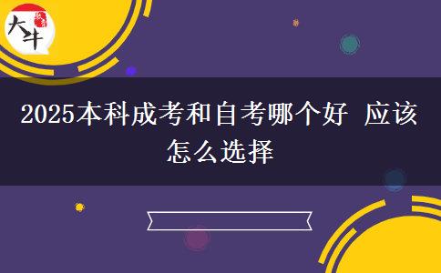 2025本科成考和自考哪個好 應該怎么選擇