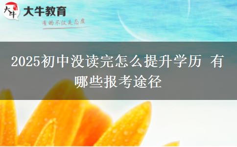 2025初中沒讀完怎么提升學(xué)歷 有哪些報考途徑