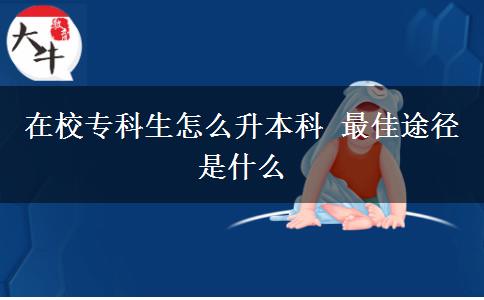 在校專(zhuān)科生怎么升本科 最佳途徑是什么