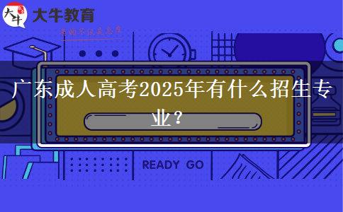 廣東成人高考2025年有什么招生專業(yè)？