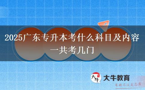 2025廣東專升本考什么科目及內容 一共考幾門