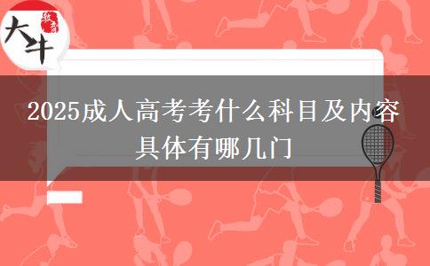 2025成人高考考什么科目及內(nèi)容 具體有哪幾門(mén)