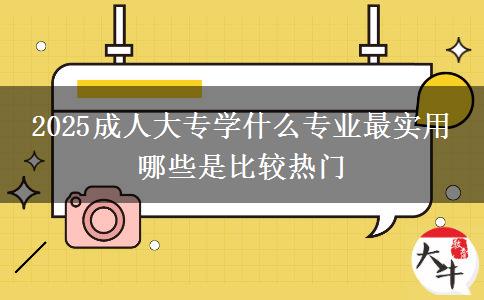 2025成人大專學什么專業(yè)最實用 哪些是比較熱門