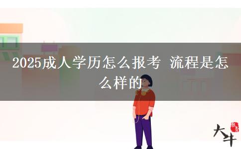 2025成人學(xué)歷怎么報考 流程是怎么樣的