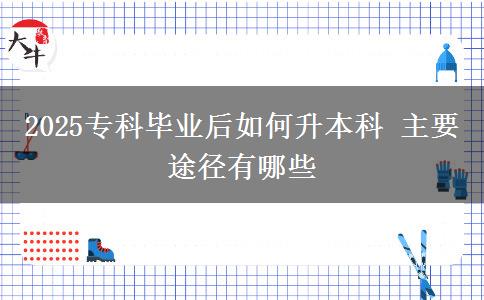 2025?？飘厴I(yè)后如何升本科 主要途徑有哪些