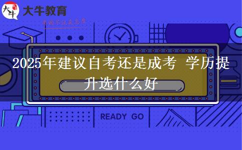 2025年建議自考還是成考 學歷提升選什么好