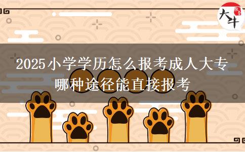2025小學(xué)學(xué)歷怎么報(bào)考成人大專 哪種途徑能直接報(bào)考