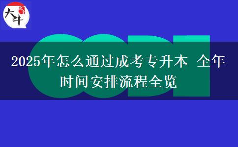 2025年怎么通過成考專升本 全年時(shí)間安排流程全覽