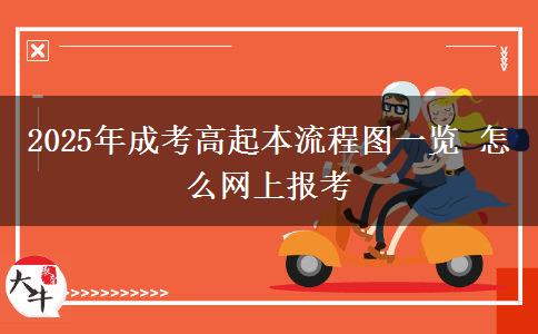 2025年成考高起本流程圖一覽 怎么網(wǎng)上報考 2025年成考高起本流程圖一覽 怎么網(wǎng)上報考