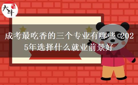 成考最吃香的三個(gè)專(zhuān)業(yè)有哪些 2025年選擇什么就業(yè)前景好