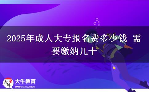 2025年成人大專報名費多少錢 需要繳納幾十
