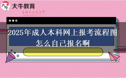 2025年成人本科網(wǎng)上報(bào)考流程圖 怎么自己報(bào)名啊