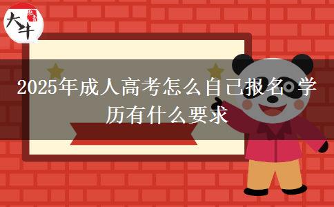 2025年成人高考怎么自己報名 學歷有什么要求