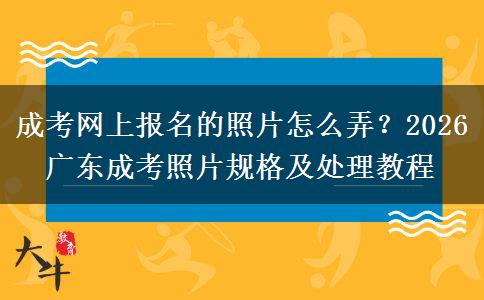 成考網(wǎng)上報(bào)名的照片怎么弄？2026 廣東成考照片規(guī)格及處理教程