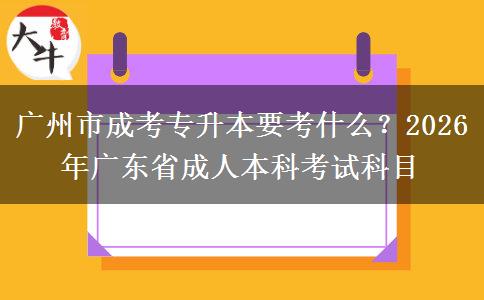 廣州市成考專升本要考什么？2026年廣東省成人本科考試科目