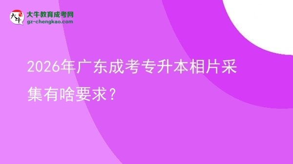 2026年廣東成考專升本相片采集有啥要求？圖片