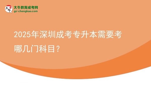 2025年深圳成考專升本需要考哪幾門科目？圖片