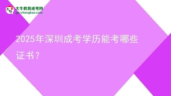 2025年深圳成考學歷能考哪些證書？圖片