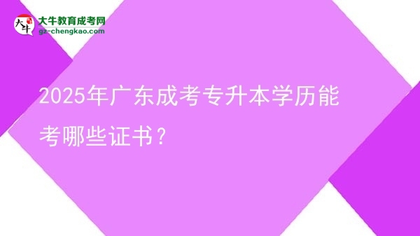 2025年廣東成考專升本學歷能考哪些證書？圖片